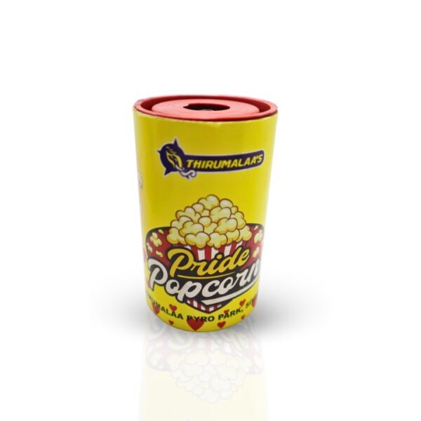 Pride popcorn flower pot