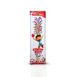Colour Koti Red Flower Pot